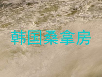 韩国桑拿房