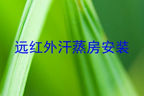 远红外汗蒸房安装