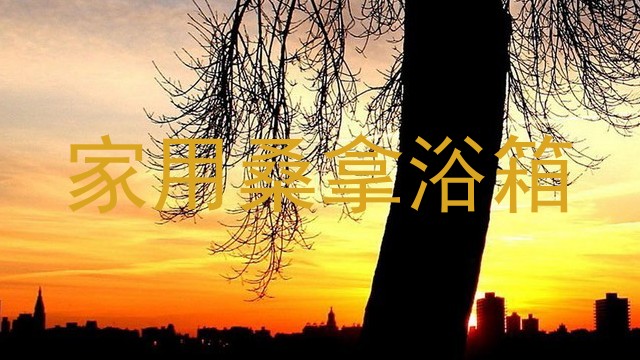 家用桑拿浴箱