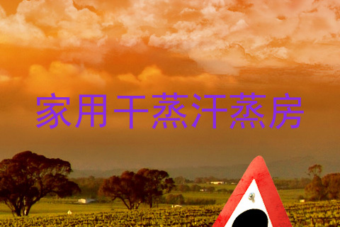 家用干蒸汗蒸房