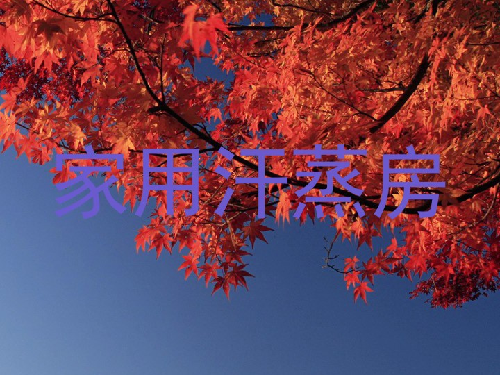 家用汗蒸房