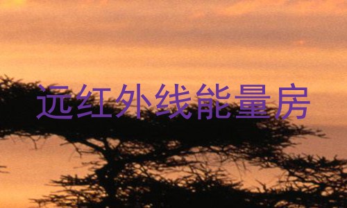 远红外线能量房