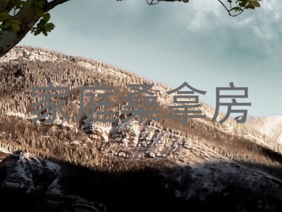 家庭桑拿房