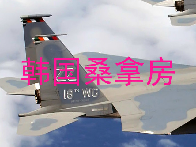 韩国桑拿房