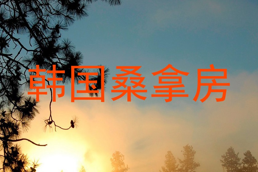 韩国桑拿房
