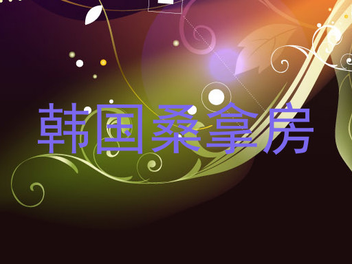 韩国桑拿房
