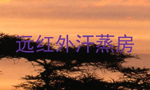 远红外汗蒸房