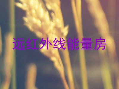 远红外线能量房