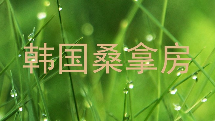 韩国桑拿房