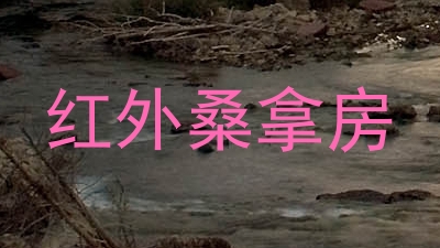红外桑拿房