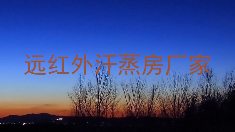 远红外汗蒸房厂家