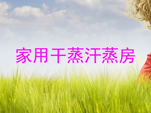 家用干蒸汗蒸房