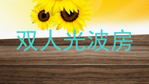 双人光波房