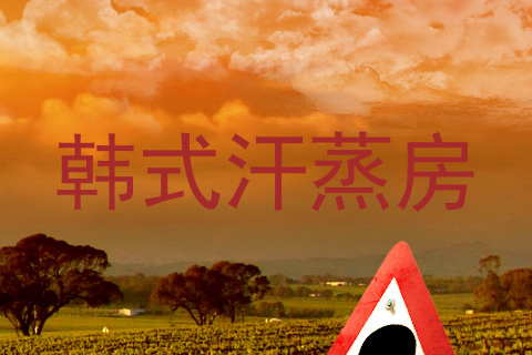 韩式汗蒸房