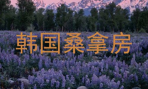 韩国桑拿房