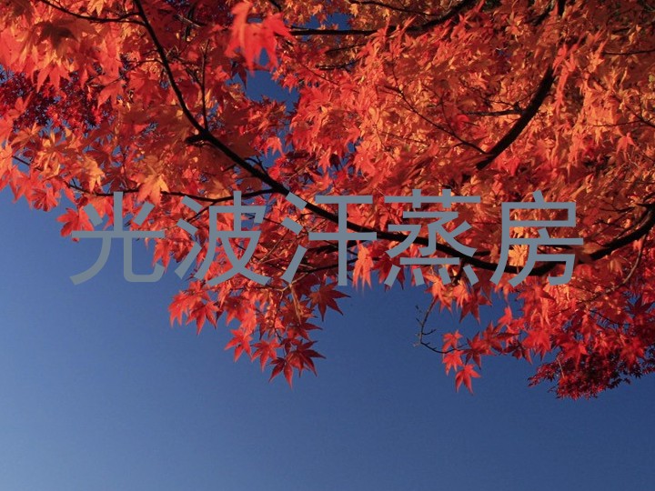 光波汗蒸房
