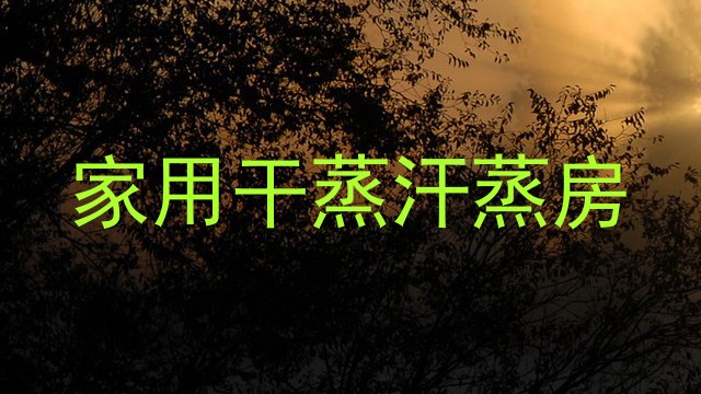 家用干蒸汗蒸房
