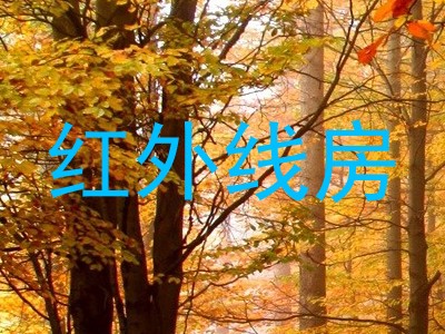 红外线房