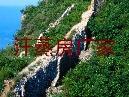汗蒸房厂家
