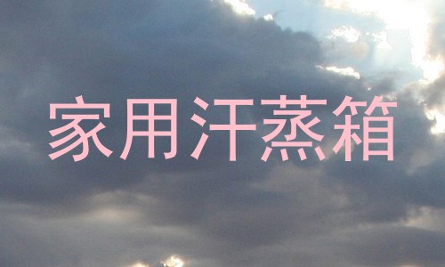 家用汗蒸箱