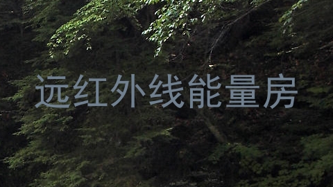 远红外线能量房