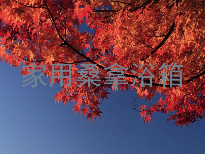 家用桑拿浴箱