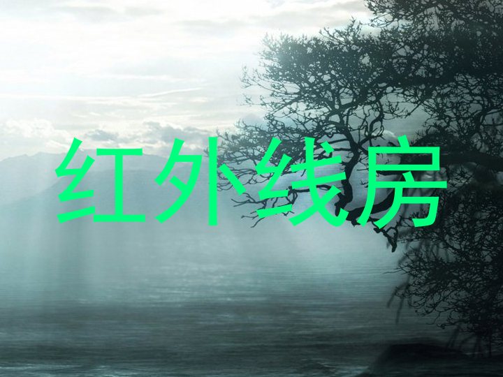 红外线房