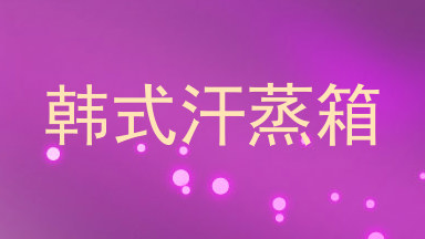 韩式汗蒸箱