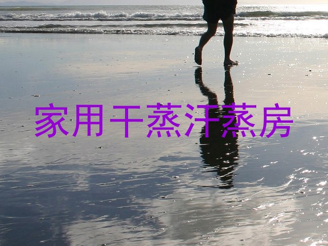 家用干蒸汗蒸房
