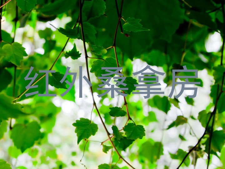 红外桑拿房