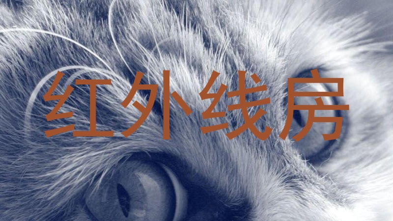 红外线房