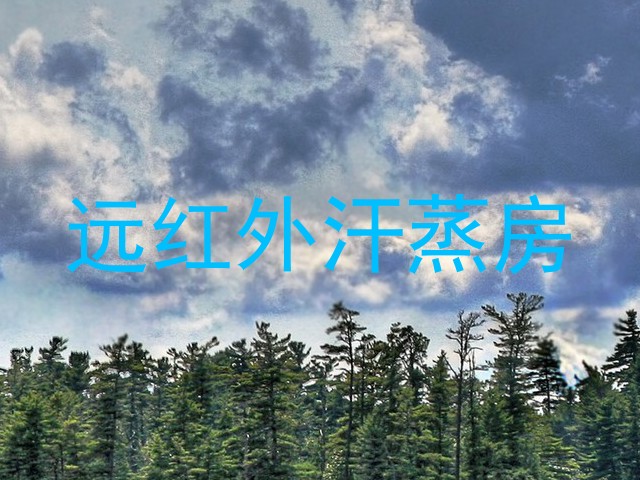 远红外汗蒸房