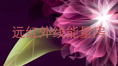 远红外线能量房