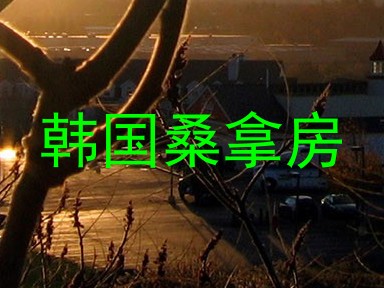 韩国桑拿房