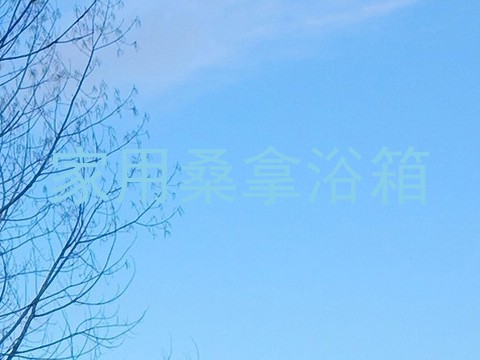 家用桑拿浴箱