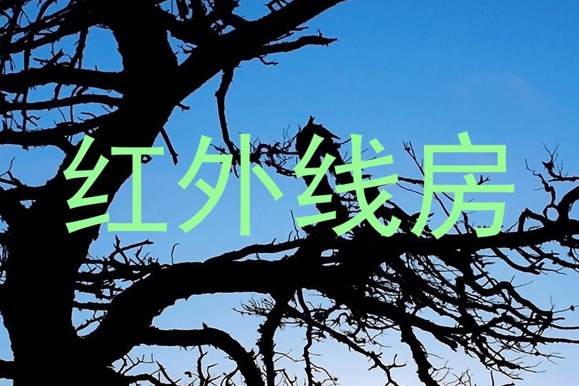 红外线房