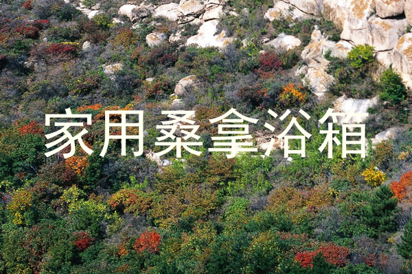 家用桑拿浴箱