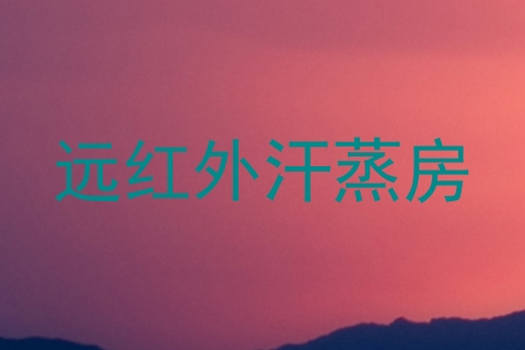 远红外汗蒸房