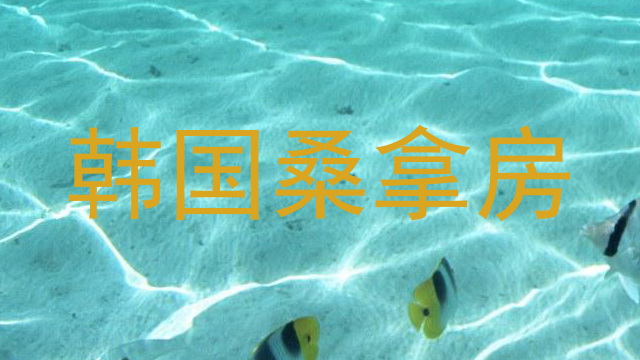 韩国桑拿房