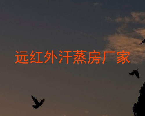 远红外汗蒸房厂家