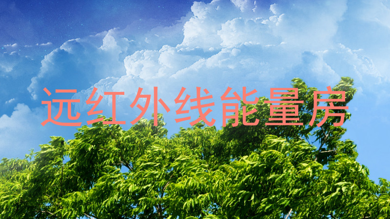 远红外线能量房