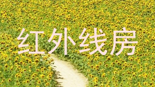 红外线房