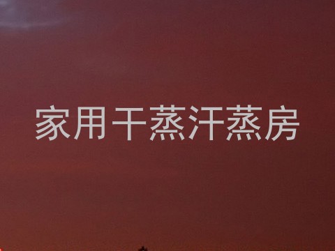 家用干蒸汗蒸房
