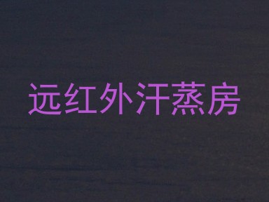 远红外汗蒸房