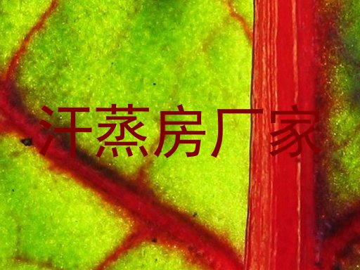 汗蒸房厂家