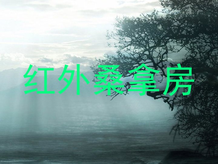 红外桑拿房