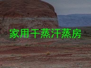 家用干蒸汗蒸房