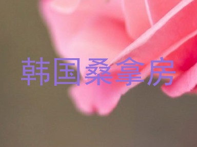 韩国桑拿房