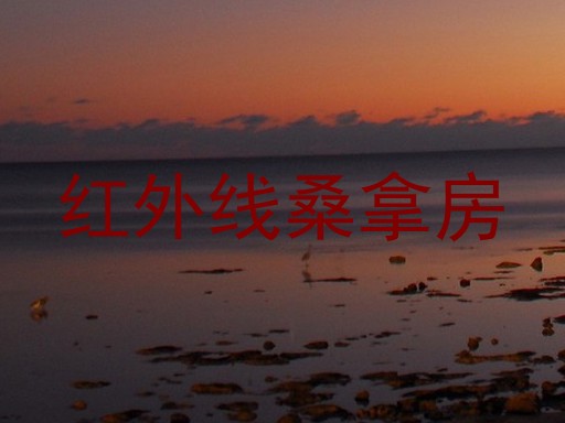 红外线桑拿房