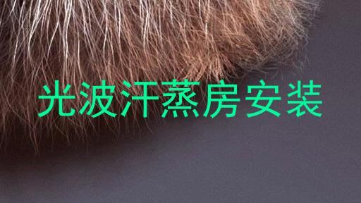 光波汗蒸房安装